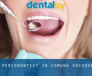 Periodontist in Comuna Socodor