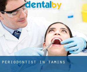 Periodontist in Tamins