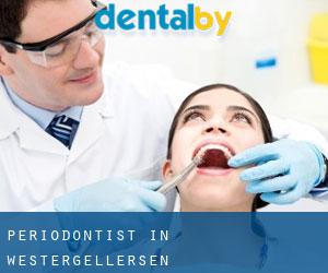 Periodontist in Westergellersen