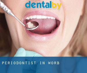 Periodontist in Worb