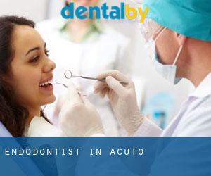 Endodontist in Acuto