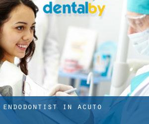 Endodontist in Acuto