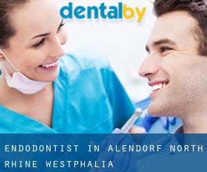 Endodontist in Alendorf (North Rhine-Westphalia)