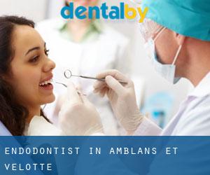 Endodontist in Amblans-et-Velotte