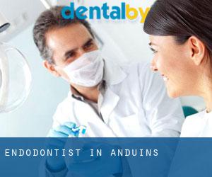 Endodontist in Anduins