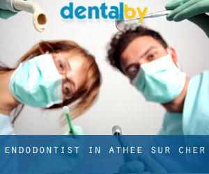 Endodontist in Athée-sur-Cher