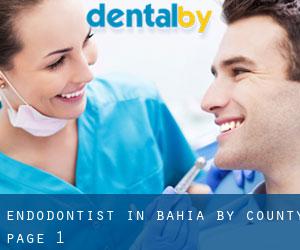 Endodontist in Bahia by County - page 1