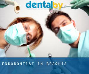 Endodontist in Braquis