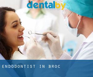 Endodontist in Broc