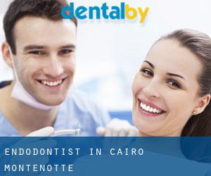 Endodontist in Cairo Montenotte