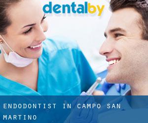 Endodontist in Campo San Martino