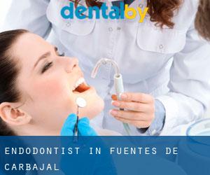 Endodontist in Fuentes de Carbajal