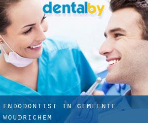 Endodontist in Gemeente Woudrichem
