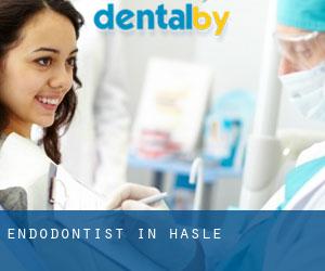 Endodontist in Hasle