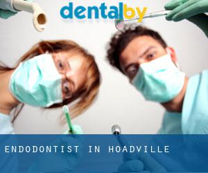 Endodontist in Hoadville