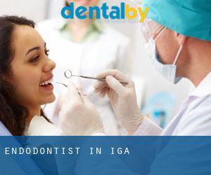 Endodontist in Iga
