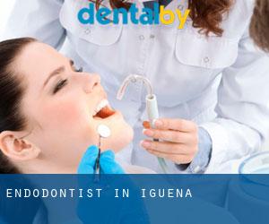 Endodontist in Igüeña