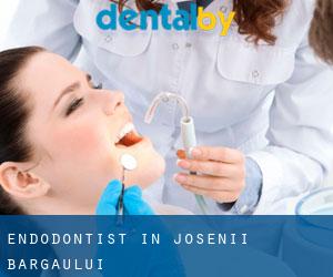 Endodontist in Josenii Bârgăului