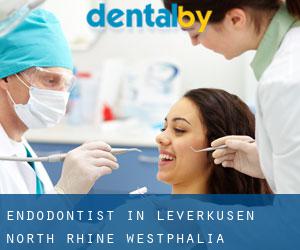 Endodontist in Leverkusen (North Rhine-Westphalia)