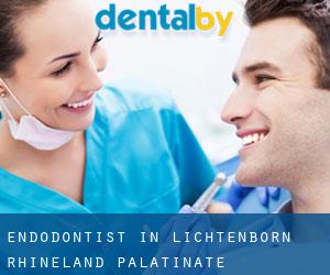 Endodontist in Lichtenborn (Rhineland-Palatinate)
