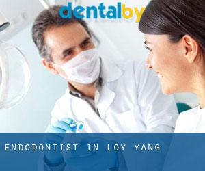 Endodontist in Loy Yang