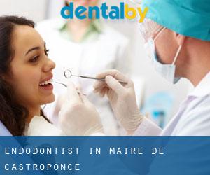 Endodontist in Maire de Castroponce
