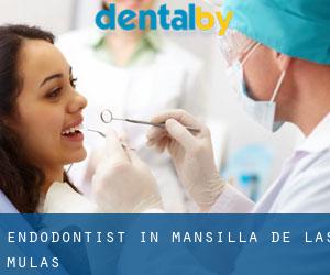 Endodontist in Mansilla de las Mulas