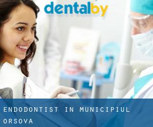 Endodontist in Municipiul Orşova
