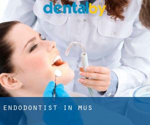 Endodontist in Muş