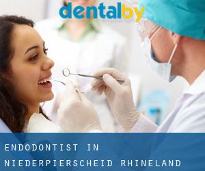 Endodontist in Niederpierscheid (Rhineland-Palatinate)