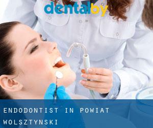Endodontist in Powiat wolsztyński