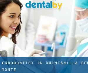 Endodontist in Quintanilla del Monte
