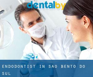 Endodontist in São Bento do Sul
