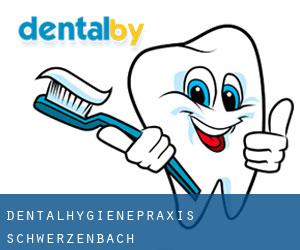 Dentalhygienepraxis (Schwerzenbach)