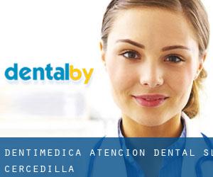 Dentimedica Atencion Dental SL (Cercedilla)
