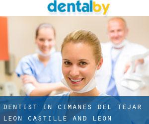 dentist in Cimanes del Tejar (Leon, Castille and León)
