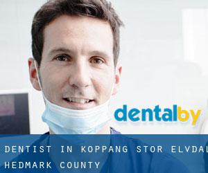 dentist in Koppang (Stor-Elvdal, Hedmark county)