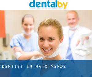 dentist in Mato Verde