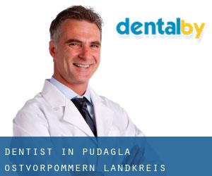 dentist in Pudagla (Ostvorpommern Landkreis, Mecklenburg-Western Pomerania)