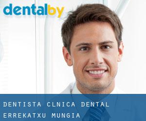 Dentista CLÍNICA DENTAL ERREKATXU (Mungia)