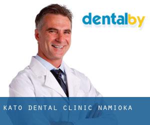 Kato Dental Clinic (Namioka)