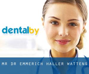 Mr. Dr. Emmerich Haller (Wattens)