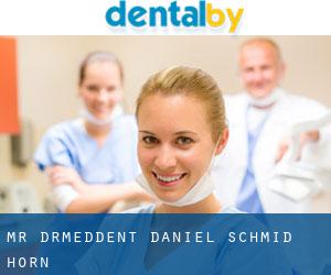 Mr. Dr.med.dent. Daniel Schmid (Horn)